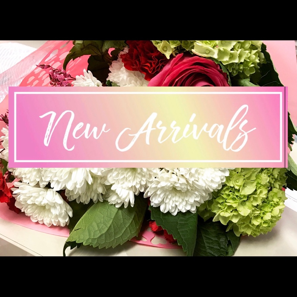 🌈 NEW ARRIVALS POSTED!!!! 🌈